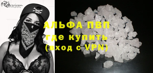 стаф Абаза