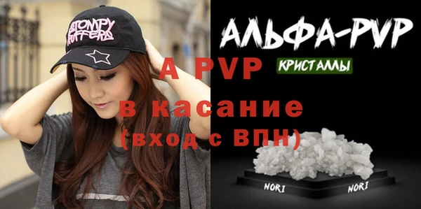 стаф Абаза