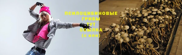 стаф Абаза