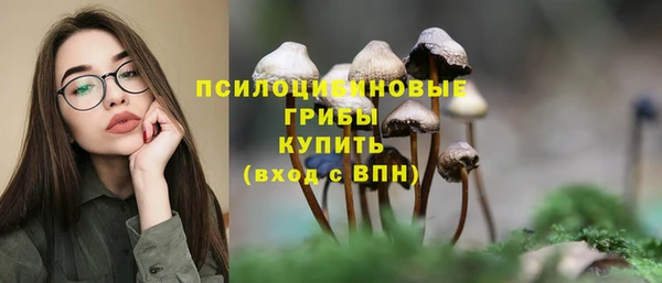 стаф Абаза
