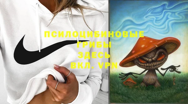 стаф Абаза
