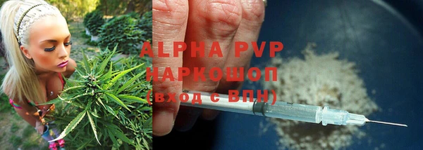 стаф Абаза